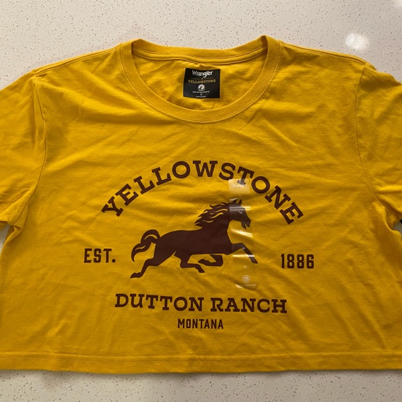 NWT Wrangler Yellowstone Official Merch - Deep Yellow Crop tee in Deep Yellow - Picture 4 of 9